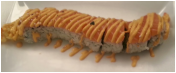 Sushi Time Signature Roll